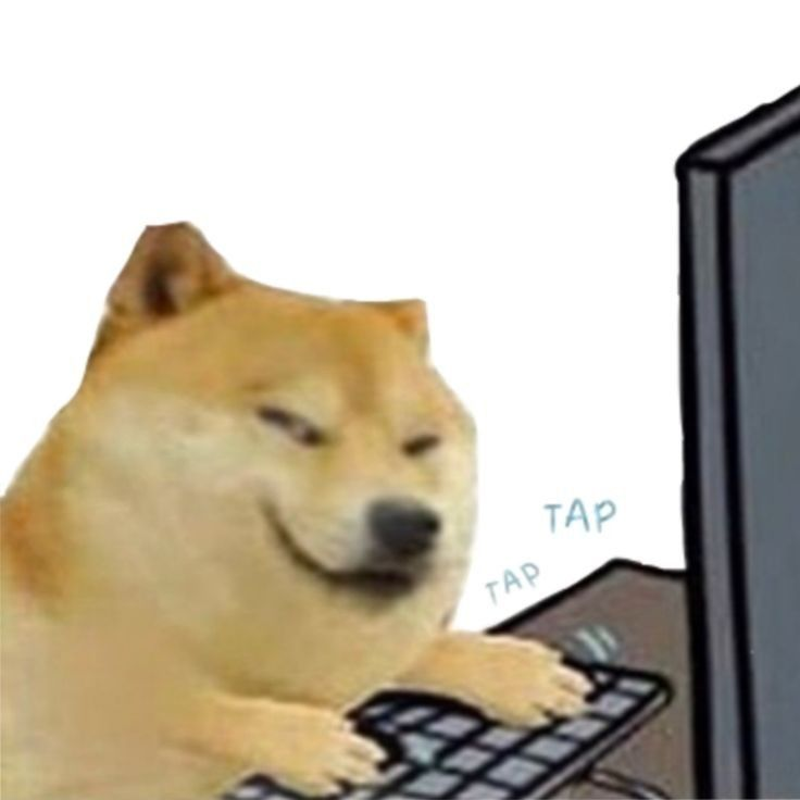 doge smirk